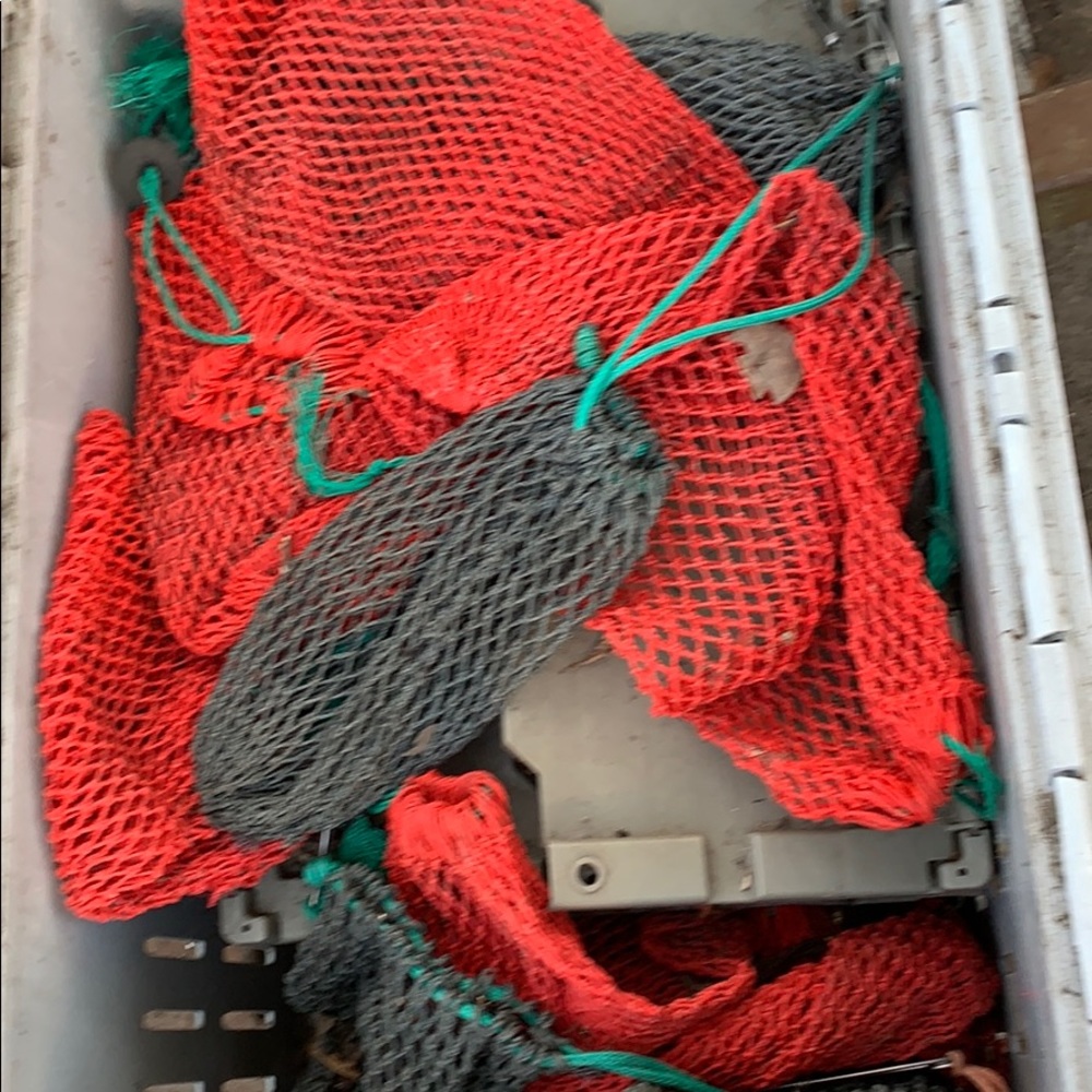 Bait bags